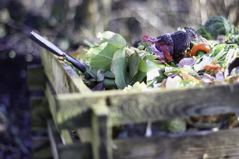 Food waste reduction